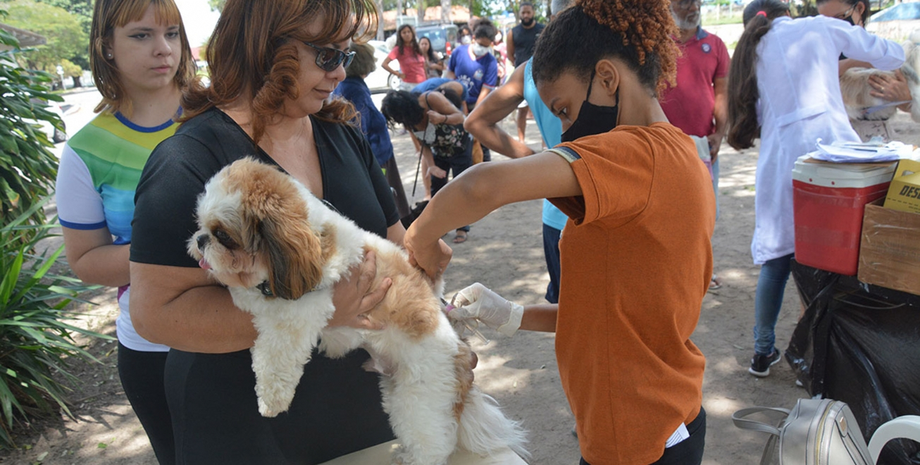 Feira de Santana: Mais dez bairros com vacinação de cães e gatos neste sábado