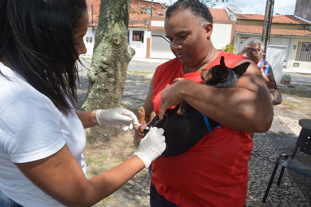 FEIRA DE SANTANA: Vacinação antirrábica continua nas unidades de saúde na próxima semana